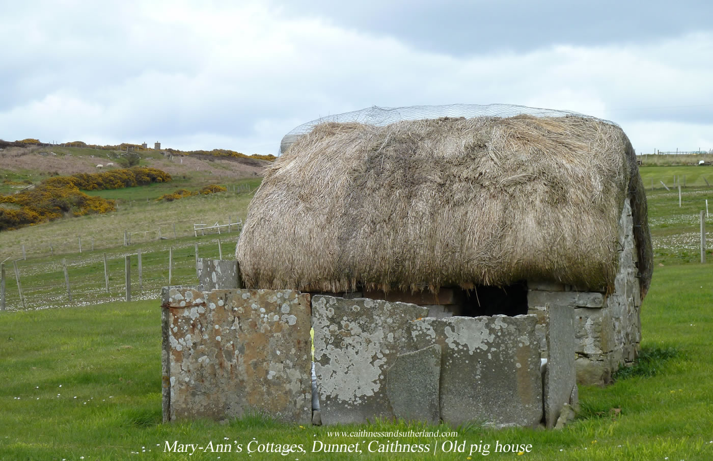 Mary Ann S Cottage